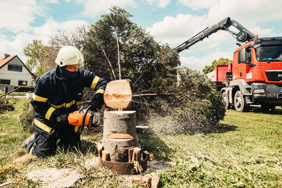 A worker in a helmet and protective gear cutting a downed evergreen trunk into rounds beside a house, with a knuckle-boom loader truck parked behind